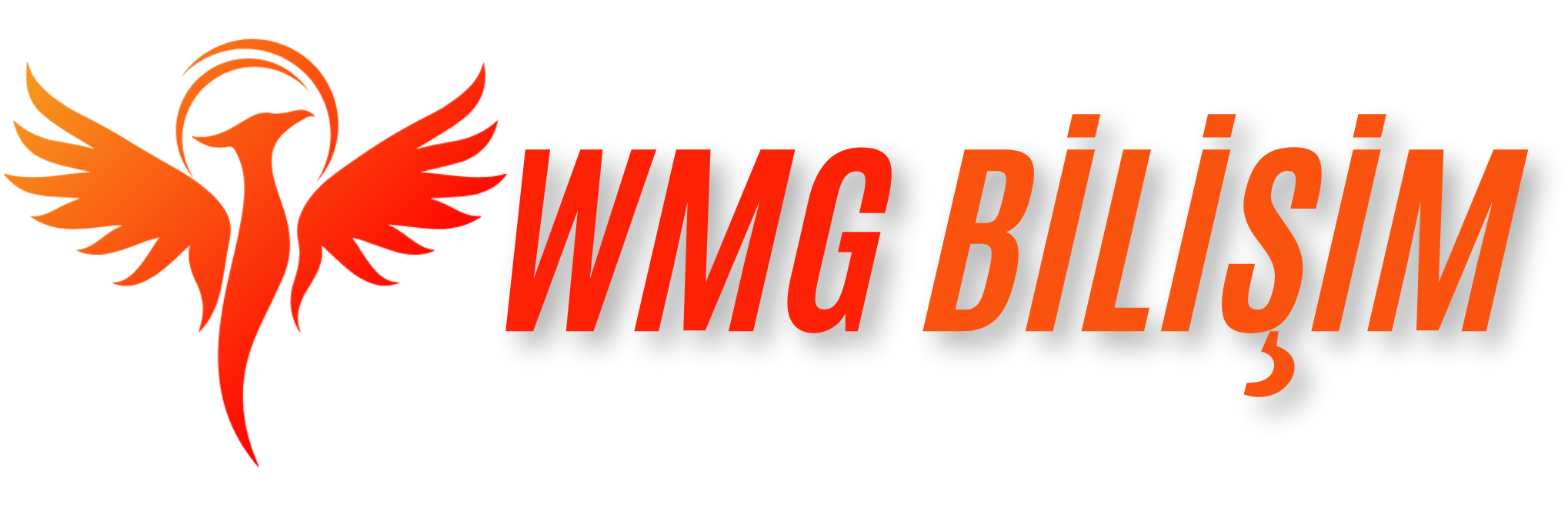 WMG - Hediyelik E-Ticaret Yazılımları